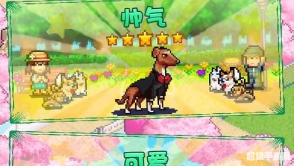 4949游戏