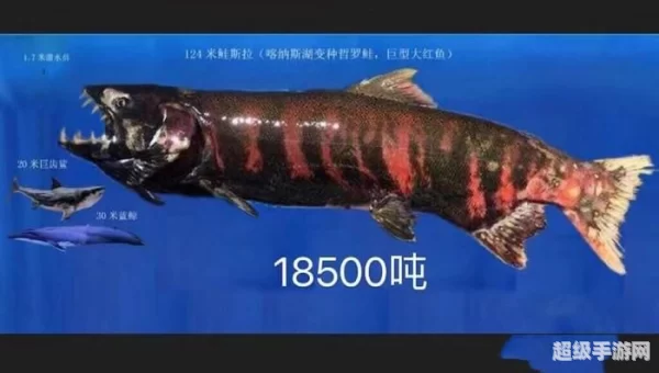 巨刺鲑鱼