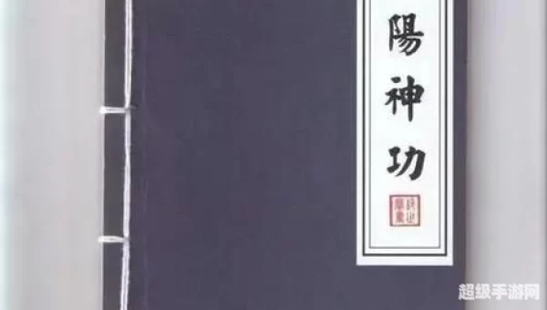 九阳真经官方