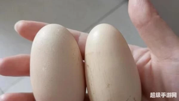 怪异的蛋有什么用
