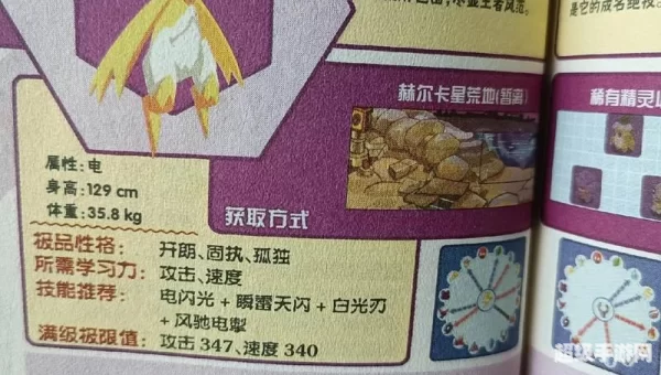 赛尔号精灵图鉴大全