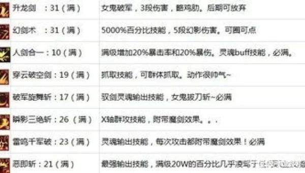 驭剑者刷图加点